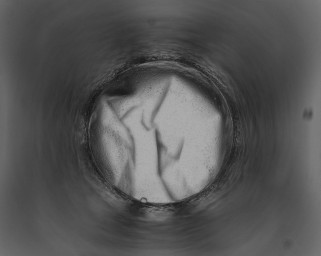 X0000090960465200708241157