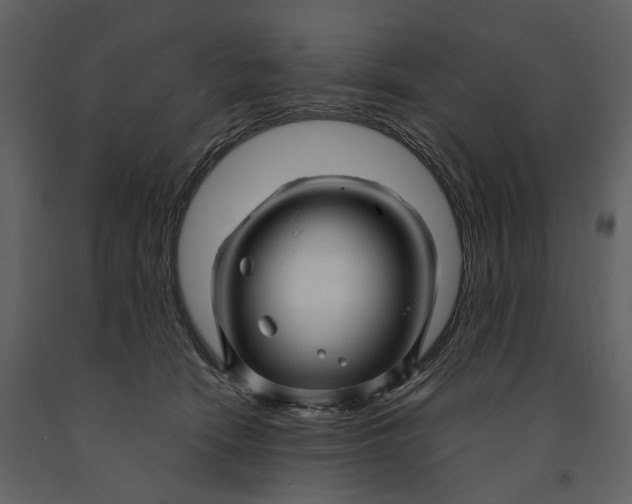 X0000090960466200708241157