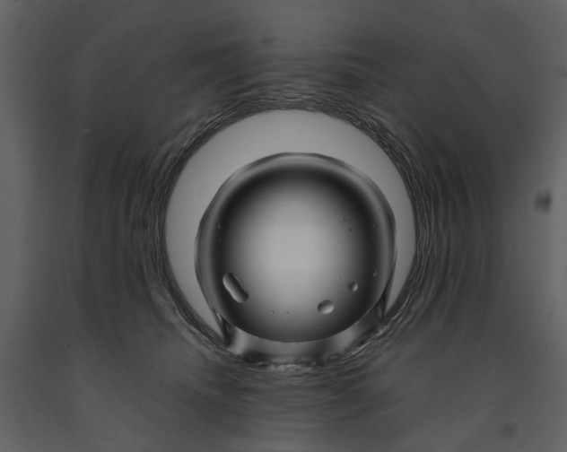 X0000090960468200708241157