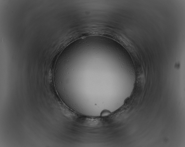 X0000090960469200708241157