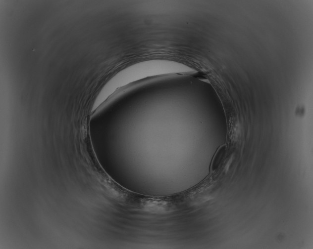 X0000090960471200708241157