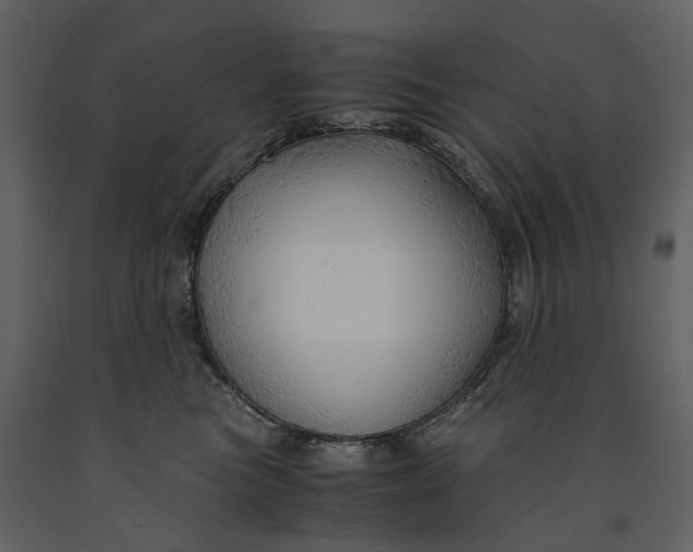 X0000090960473200708241157