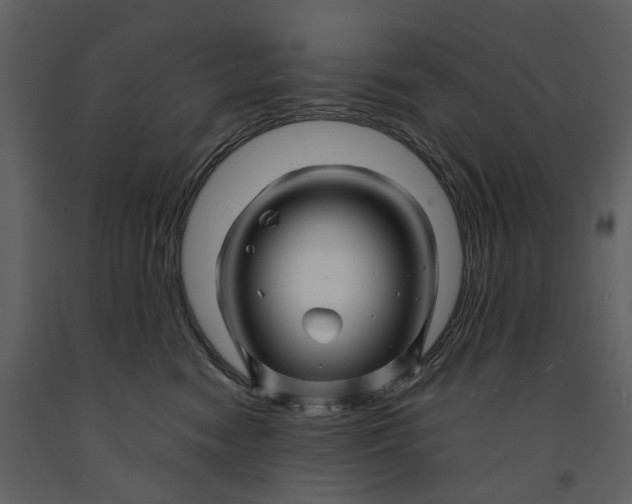 X0000090960474200708241157