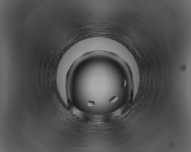 X0000090960476200708241157