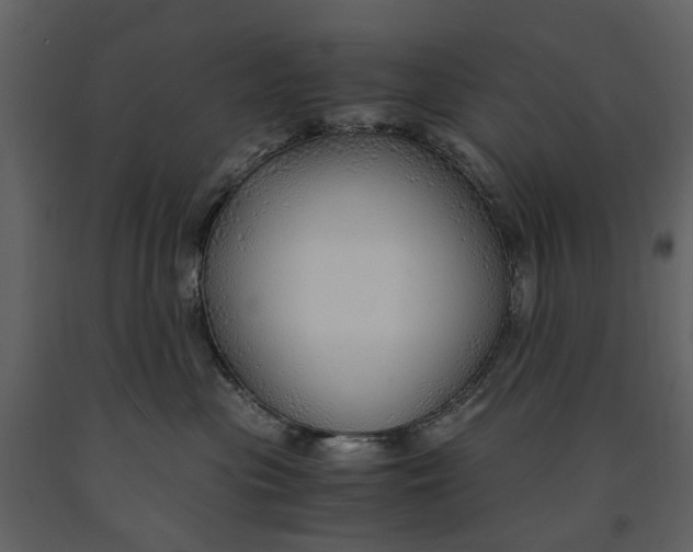 X0000090960477200708241157