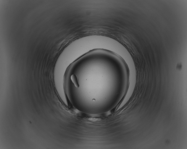 X0000090960478200708241157