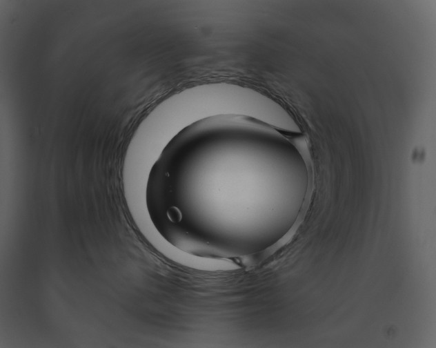 X0000090960480200708241157