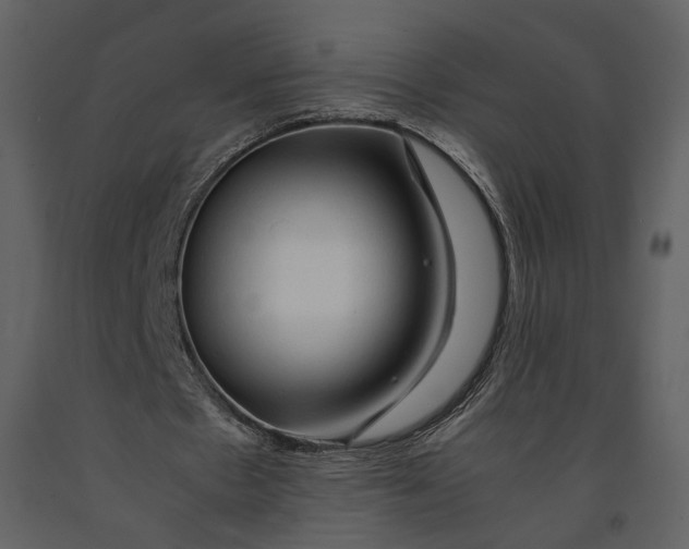 X0000090960481200708241156