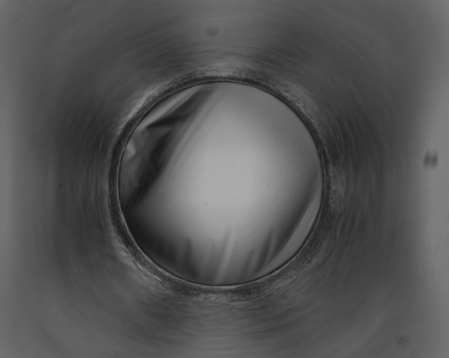 X0000090960482200708241156