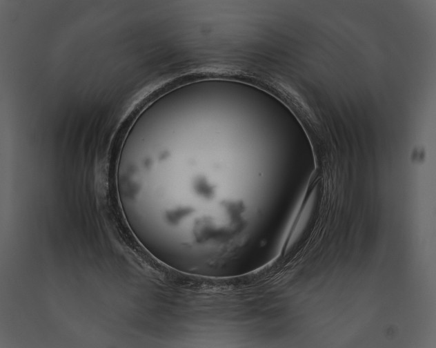 X0000090960484200708241156