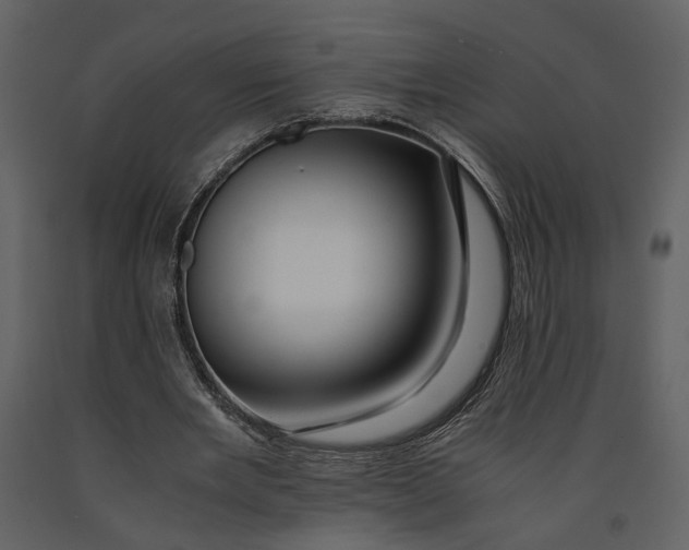 X0000090960485200708241156