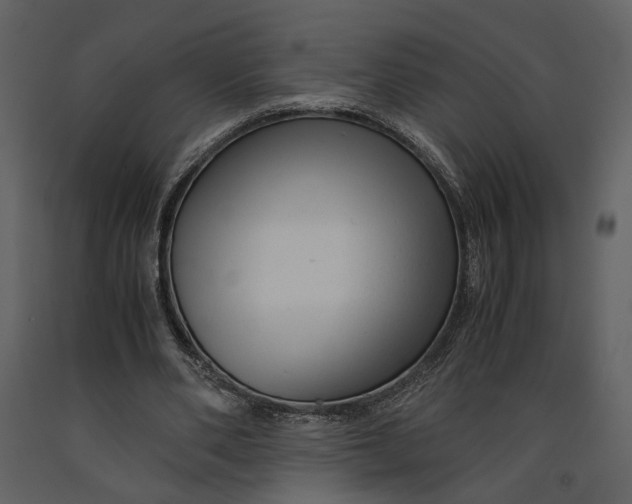 X0000090960486200708241156