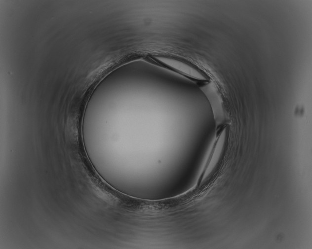 X0000090960489200708241156