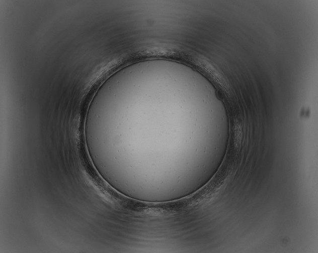 X0000090960490200708241156