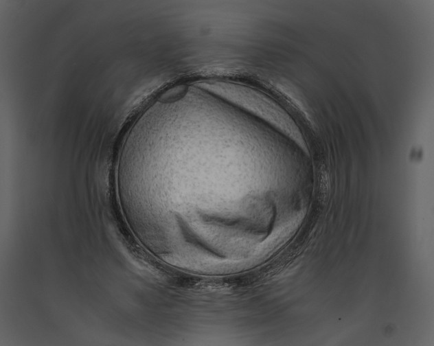 X0000090960491200708241156