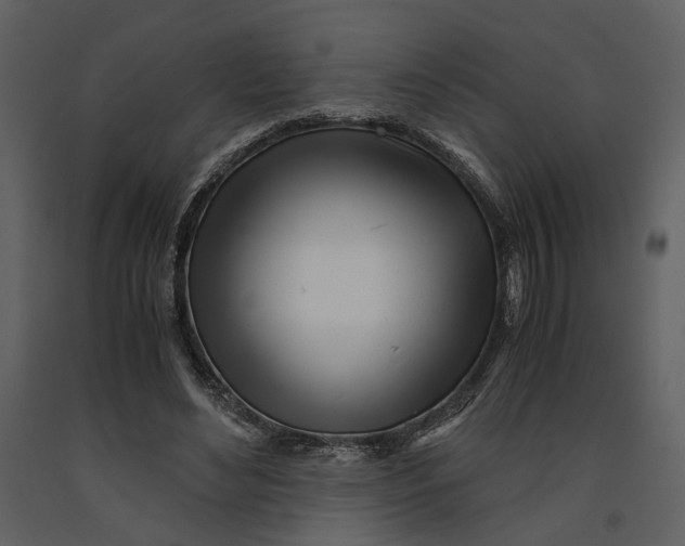 X0000090960492200708241156