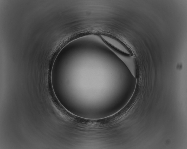 X0000090960493200708241156