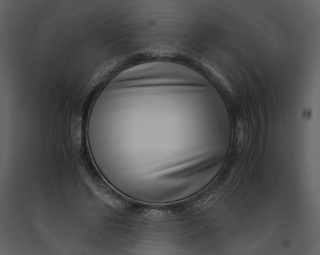 X0000090960494200708241156