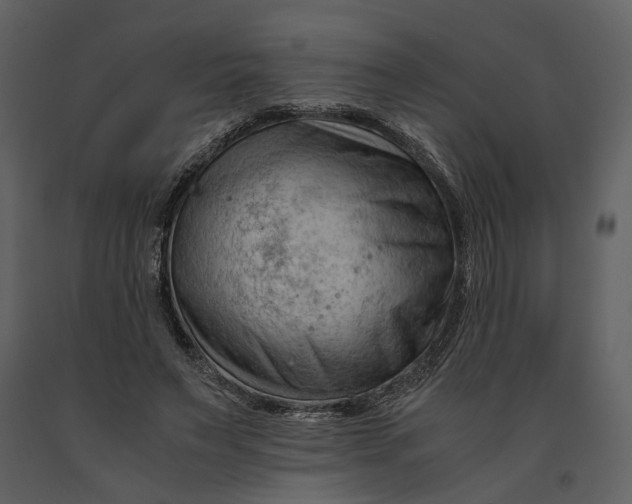 X0000090960495200708241156