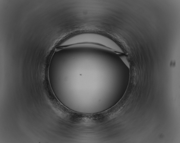 X0000090960496200708241156