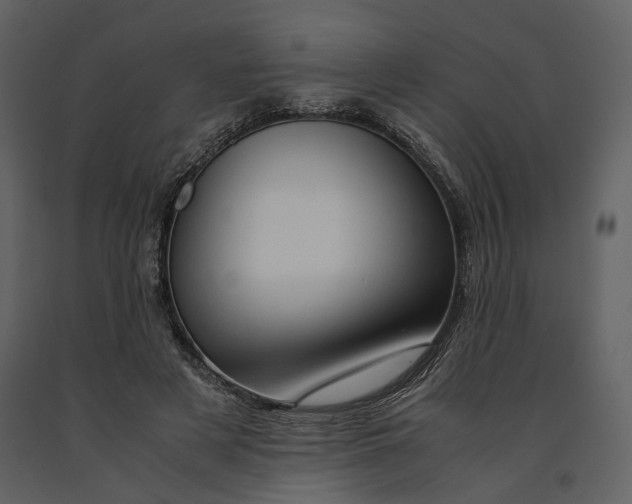 X0000090960497200708241156