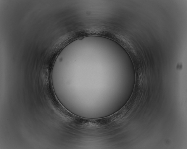 X0000090960498200708241156