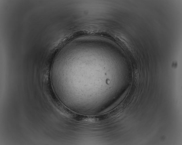 X0000090960499200708241156