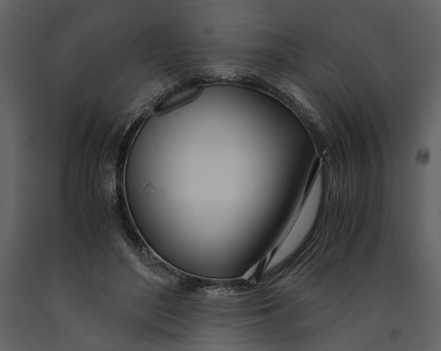 X0000090960500200708241156