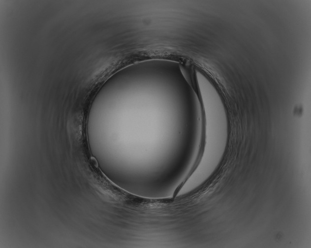 X0000090960501200708241156