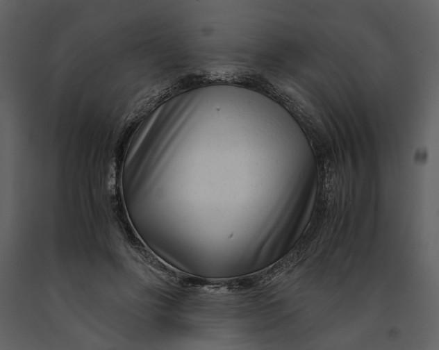 X0000090960502200708241156