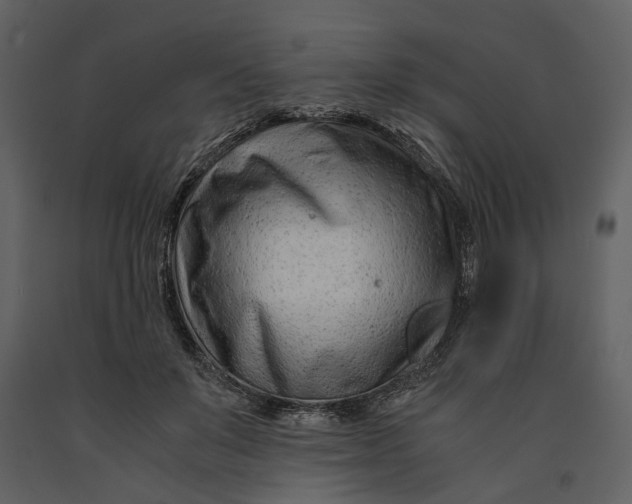 X0000090960503200708241156