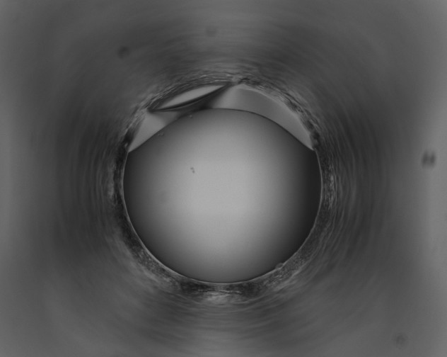 X0000090960504200708241156