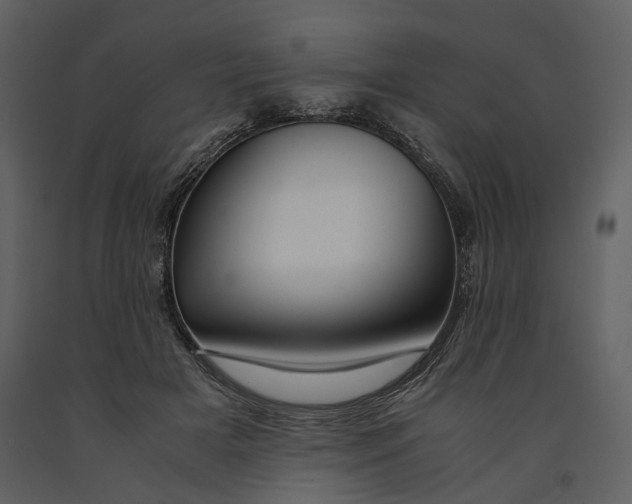 X0000090960505200708241156