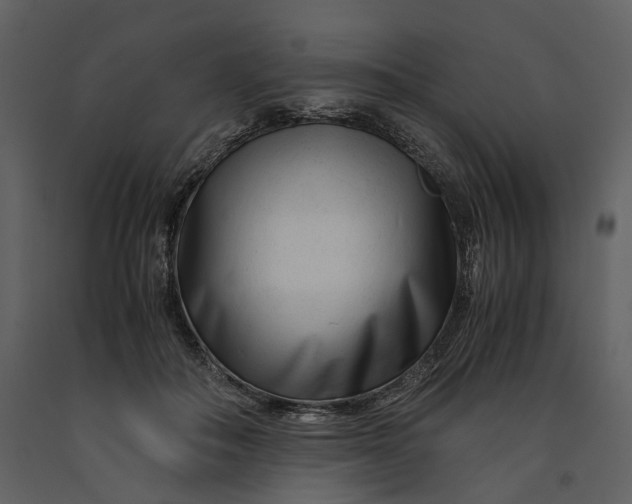 X0000090960506200708241156