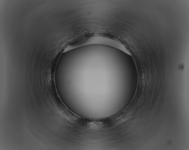 X0000090960508200708241156