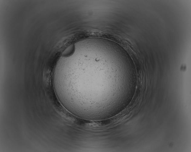 X0000090960511200708241155