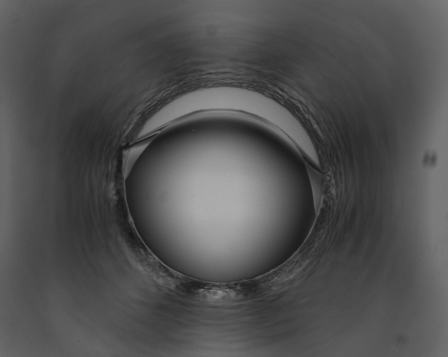 X0000090960512200708241155