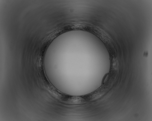 X0000090960514200708241155