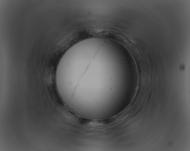 X0000090960515200708241155