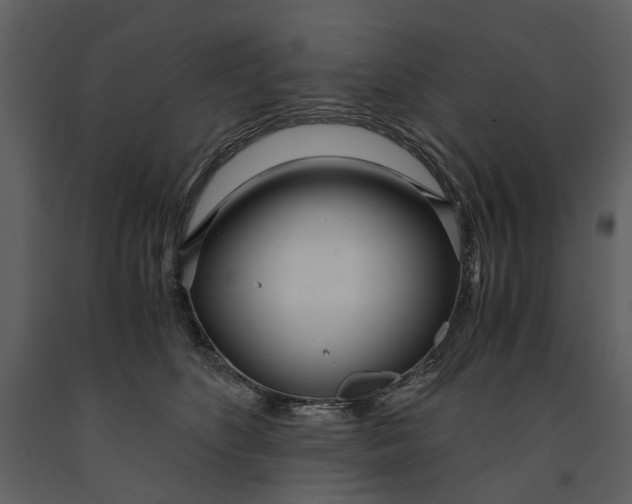 X0000090960516200708241155