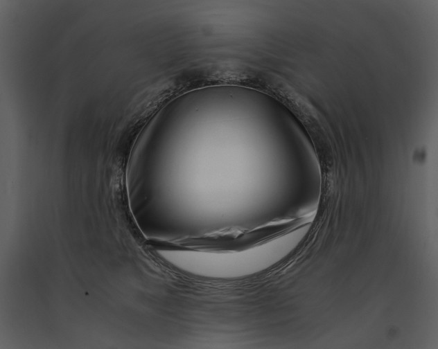 X0000090960517200708241155