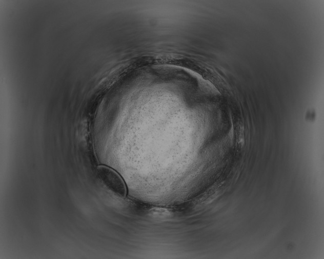 X0000090960519200708241155