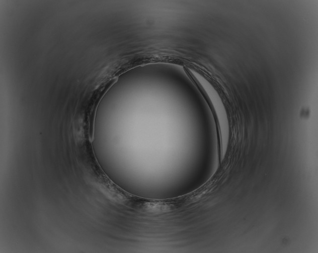 X0000090960520200708241155