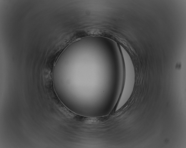 X0000090960521200708241155