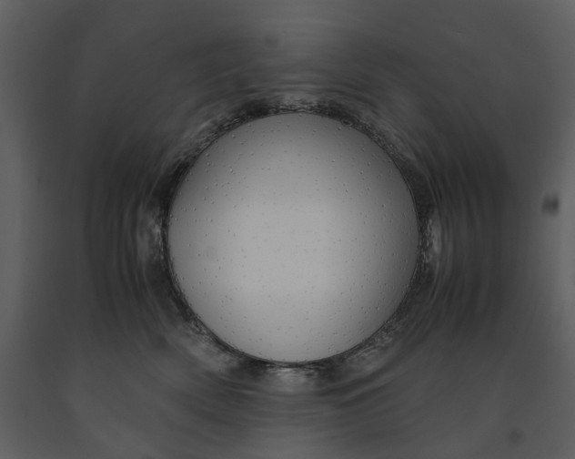 X0000090960522200708241155