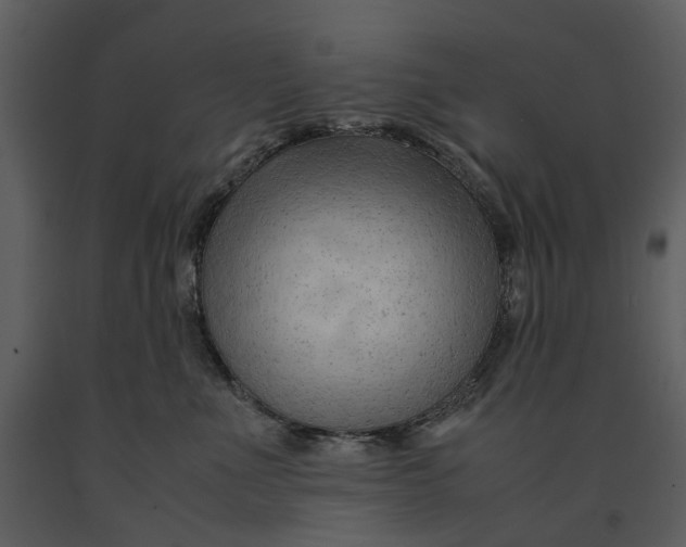 X0000090960523200708241155