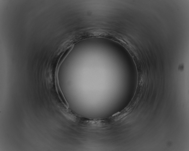 X0000090960524200708241155