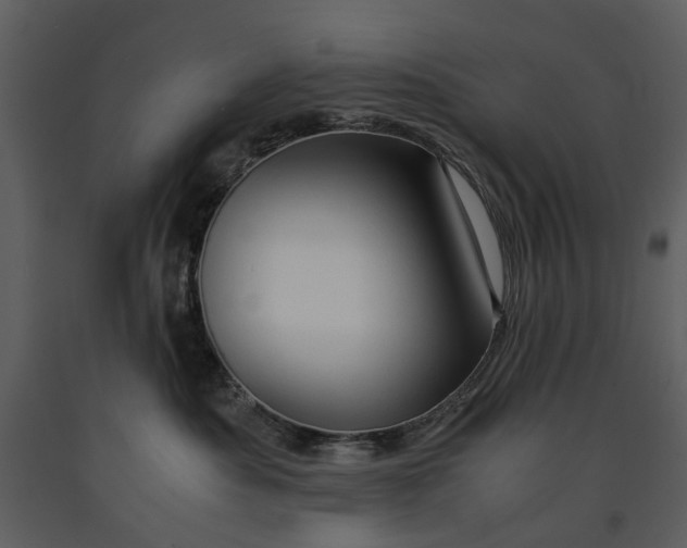 X0000090960525200708241155