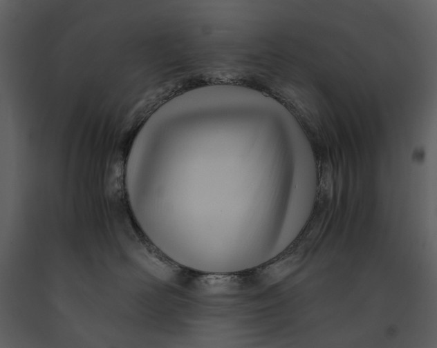 X0000090960526200708241155