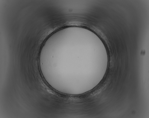 X0000090960529200708241155